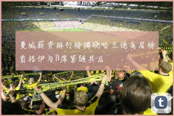 曼城薪资排行榜揭晓哈兰德高居榜首格伊与B席紧随其后